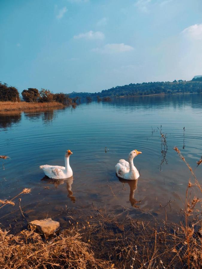 Mountain N Lake Resort Igatpuri Bagian luar foto